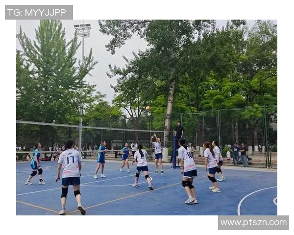 武汉排球队的崛起与奋斗精神探秘排球运动的魅力与力量