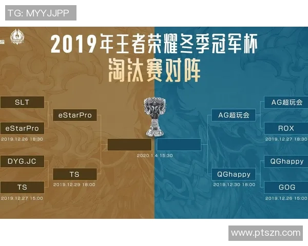 王者荣耀深度解析：全面剖析JDG战队的运营策略与成功之道